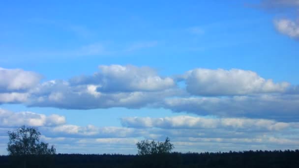 Timelapse av solnedgång över en skog. — Stockvideo