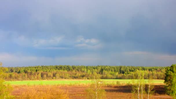 Timelapse van zonsondergang over een forest. — Stockvideo