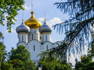 Novodevichy Manastırı. Smolensky Katedrali. Moskova