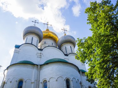 Novodevichy Manastırı. Smolensky Katedrali. Moskova