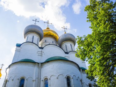 Novodevichy Manastırı. Smolensky Katedrali. Moskova