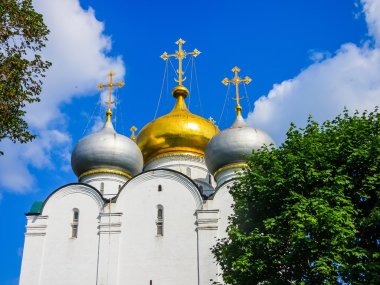 Novodevichy Manastırı. Smolensky Katedrali. Moskova