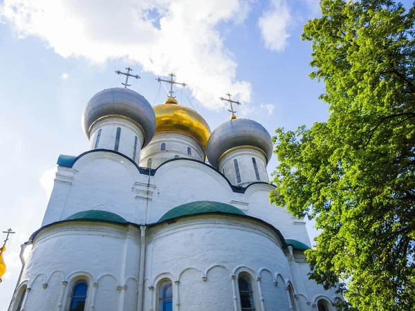 Novodevichy manastır doğal görünümü — Stok fotoğraf