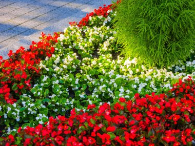 Alexander Bahçe (Moskova)