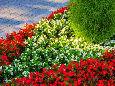 Alexander Bahçe (Moskova)