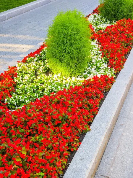 Alexander Garden (Moscow) — Stock Photo, Image