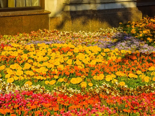 Flower Festival near GUM in Moscow — Stock Photo, Image