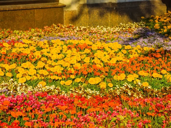 Flower Festival near GUM in Moscow — Stock Photo, Image