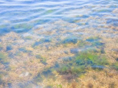  Plaj altın ile Kırım kumları