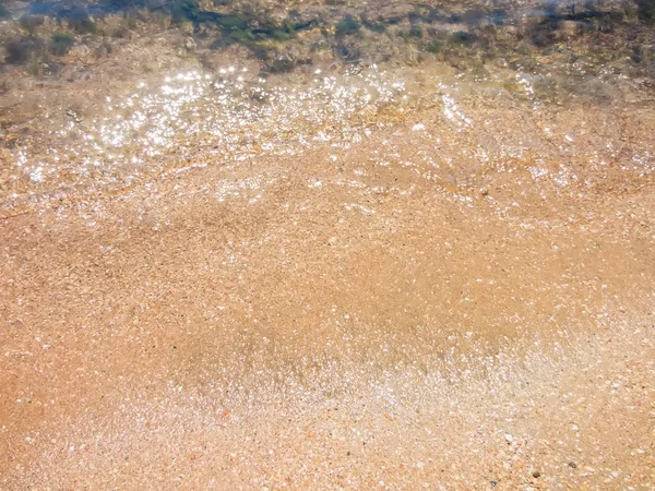 beach with gold sands crimea