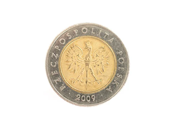 Macro Close Polish Zloty Coin — Stock Photo, Image