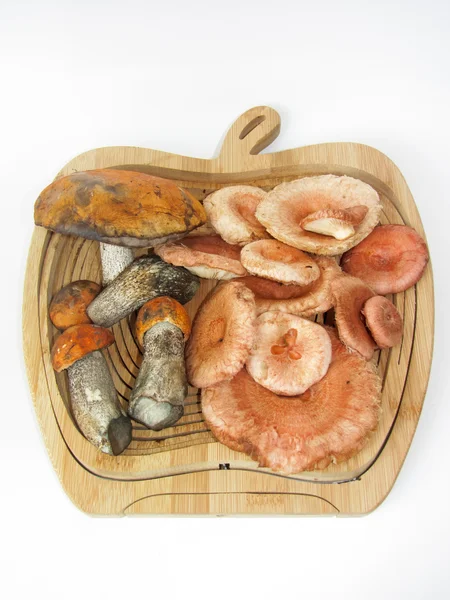 Basket with porcini mushrooms — Stock Photo, Image