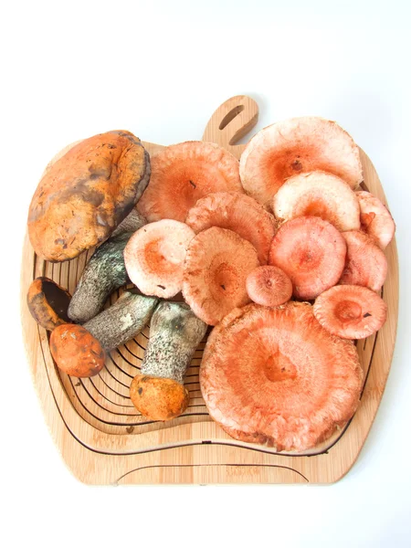 Kosár porcini gombával — Stock Fotó