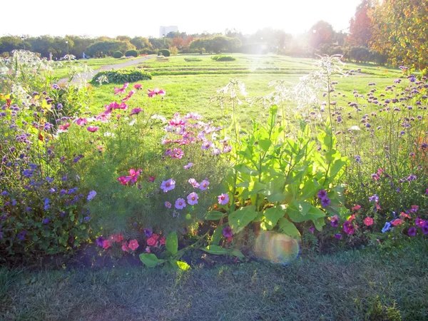 Moscow. Apothecary Garden in Kolomenskoye — Stock Photo, Image