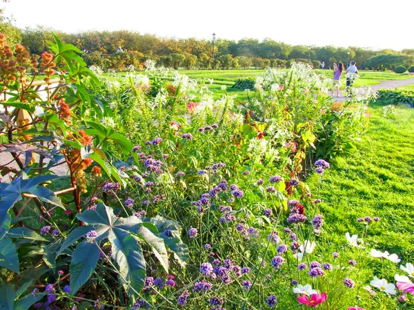 Moscou. Jardin apothicaire à Kolomenskoye — Photo