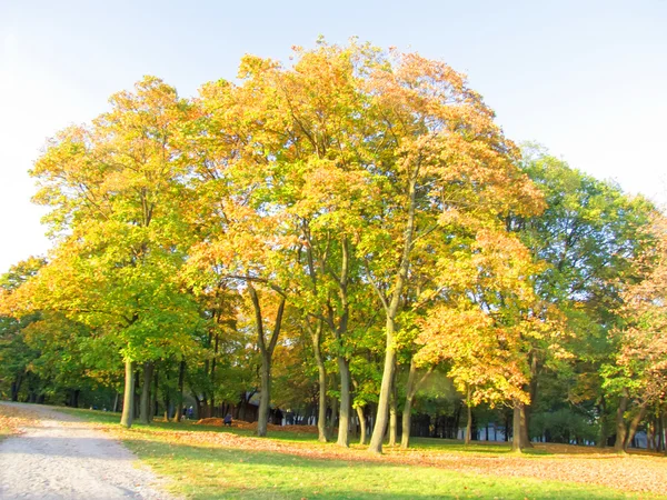 Осенний пейзаж Стоковое Фото