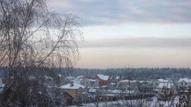 coucher de soleil dans la forêt d'hiver