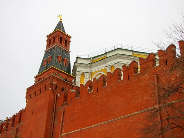 Alexander Tuin, Kremlin van Moskou — Stockfoto