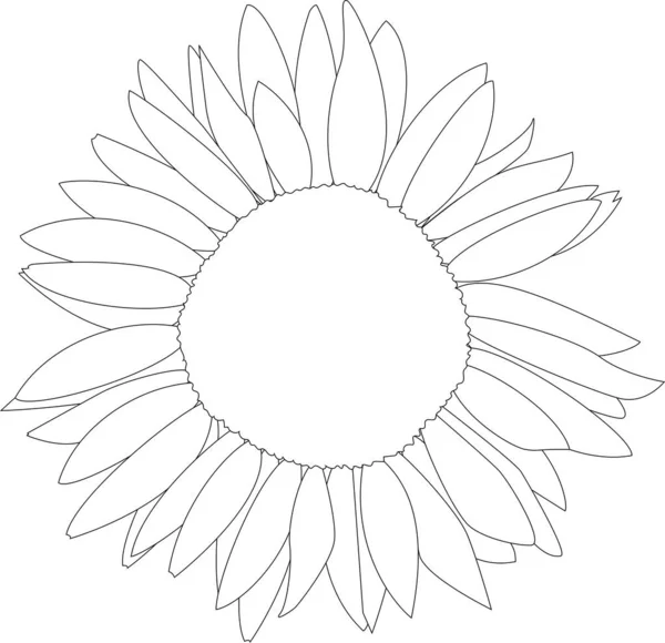 Girasol Monocromo Página Para Colorear Libro Flor Simple — Vector de stock