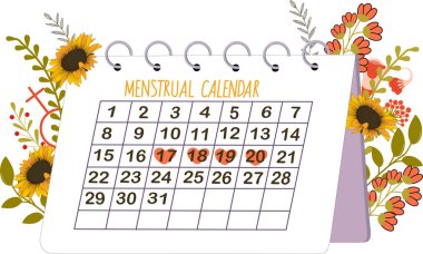 Jinekolojik adet döngüsü. Ayçiçekli adet takvimi.