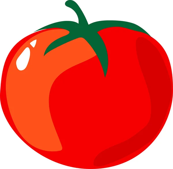 Vektor Ilustrasi Tomat Segar Tunggal Terisolasi Pada Latar Belakang Putih - Stok Vektor