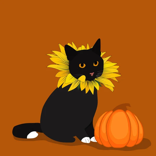 用南瓜装饰着向日葵服装的可爱的黑猫 有小空间的贺卡 矢量说明 — 图库矢量图片