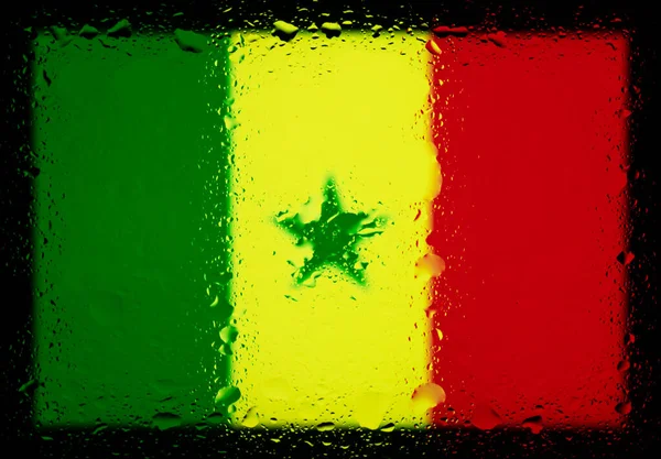 Краплі Води Сенегальському Прапорі Поверхнева Глибина Поля Вибіркове Фокусування Затонування — стокове фото