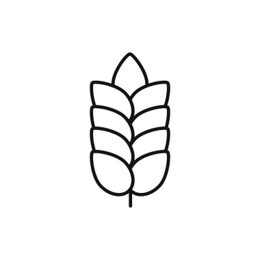 Vektör çiftlik buğday başakları şablonu.