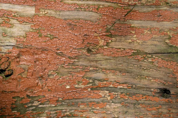 Παλιά Ραγισμένη Πλακέτα Βαμμένη Πορτοκαλί Χρώμα — Φωτογραφία Αρχείου