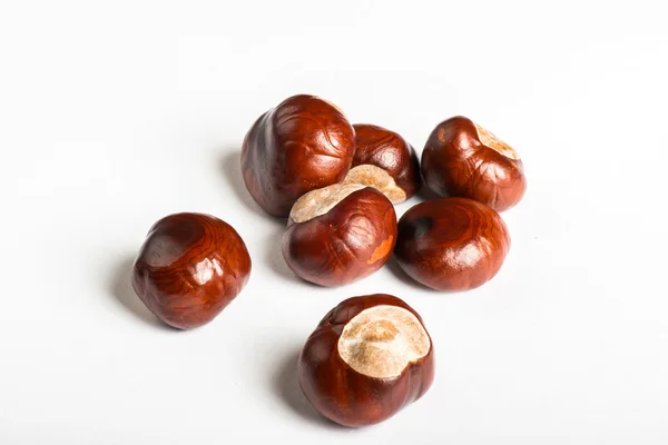 Set of chestnuts on white — Stock Photo, Image