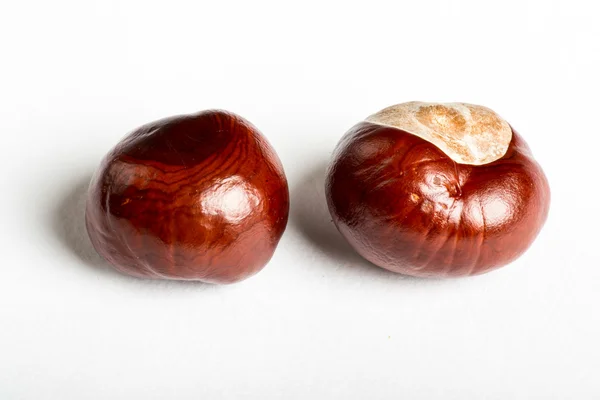 Set of chestnuts on white — Stock Photo, Image
