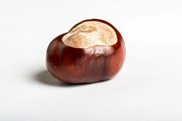 Set of chestnuts on white — Stock Photo, Image
