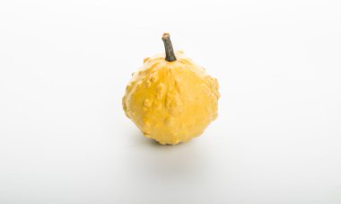 Beyaz arkaplanda kabak izole