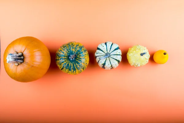 Kürbisse auf orangefarbenem Hintergrund — Stockfoto