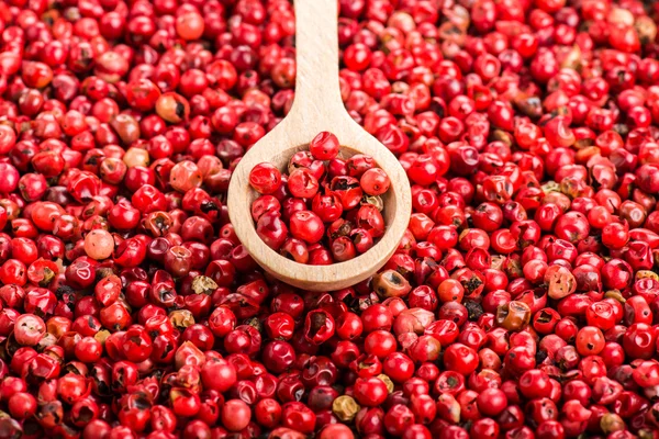 Close up selection of red pepper — Stock fotografie