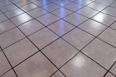 Zemin parlak yüzeyine ışık düşen parlak seramik fayanslardan yapılmıştır.