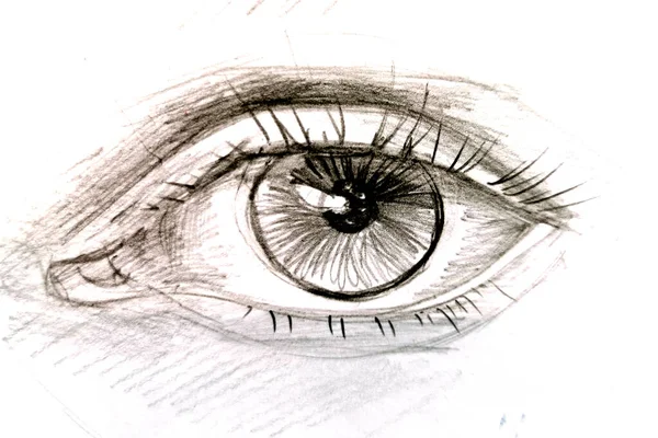 How To Draw Two Eyes Step by Step Easily For Beginners