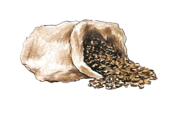 打开袋中的咖啡豆 在白色背景隔离的基础上绘图 — 图库照片