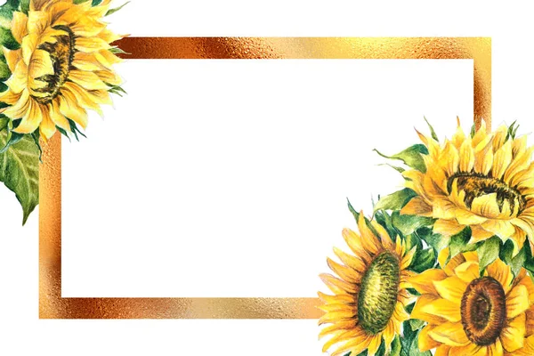 sunflower flower illustration frame drawing isolate on white background