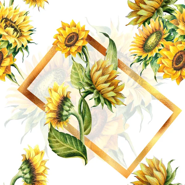 Sonnenblume Blume Illustration Nahtlose Musterzeichnung Isolieren Auf Weißem Hintergrund Stockbild