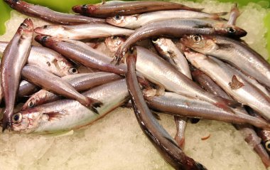 Buzlu deniz balığı. Donmuş balık. Pazarda vitrinlerdeki balıklar.