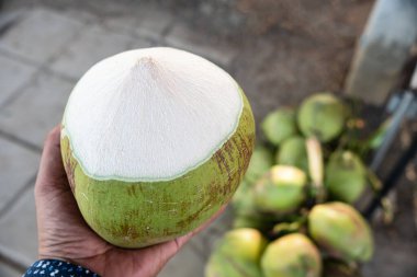 Yeşil bir hindistan cevizi tutarken