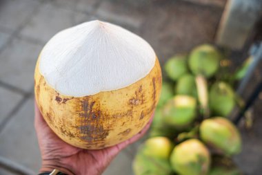 Sarı bir hindistan cevizi tutarken