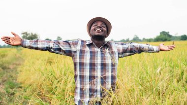 Afrikalı çiftçi gülümseme ve mutlulukla organik pirinç tarlasında duruyor.