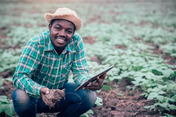 Agricultor African Folosind Tabletă Pentru Cercetarea Solului Agricultura Ecologică — Fotografie, imagine de stoc