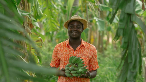 Африканський Фермер Який Тримає Зелений Банан Органічному Стилі — стокове фото