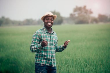 Afrikalı çiftçi gülümseme ve mutlulukla organik pirinç tarlasında duruyor.