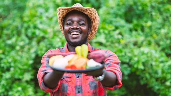 Uśmiechnij Się Afrykański Rolnik Trzymający Paczkę Warzyw Warzywa Ekologiczne Gotowe — Zdjęcie stockowe