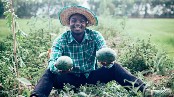Африканський Фермер Тримає Кавун Органічному Господарстві — стокове фото