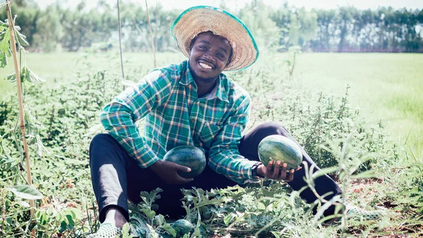 Afrikaanse Boer Met Een Watermeloen Biologische Landbouw Landbouw Teelt Concept — Stockfoto